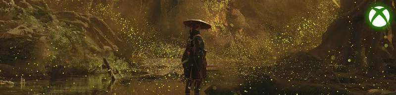 Banner image